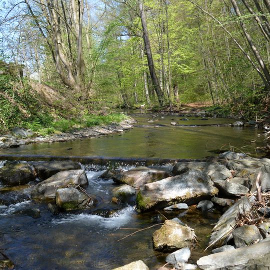 Gipskarstlandschaft Bad Sachsa und Walkenried