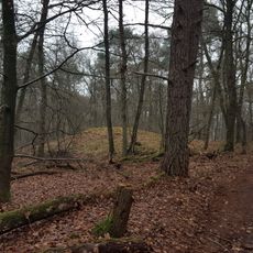 Two tumuli northwest of Bilderberglaan near Wolfheze