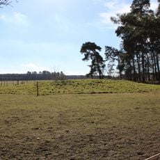 Bowl barrow 230m south west of Little Lodge Farm