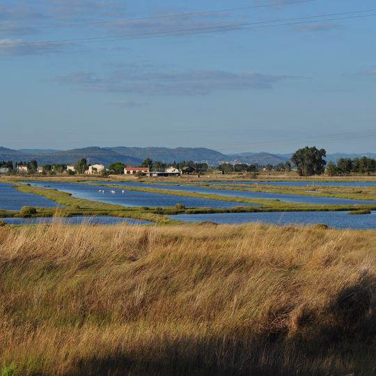 Riserva naturale Padule Orti-Bottagone