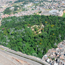 Santo Dias Park