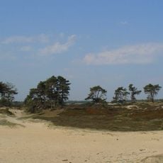 Drents-Friese Wold