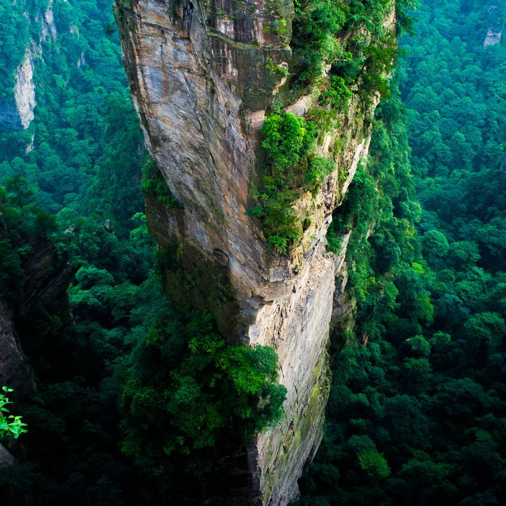 Zhangjiajie National Forest Park