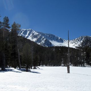 Jepson Peak