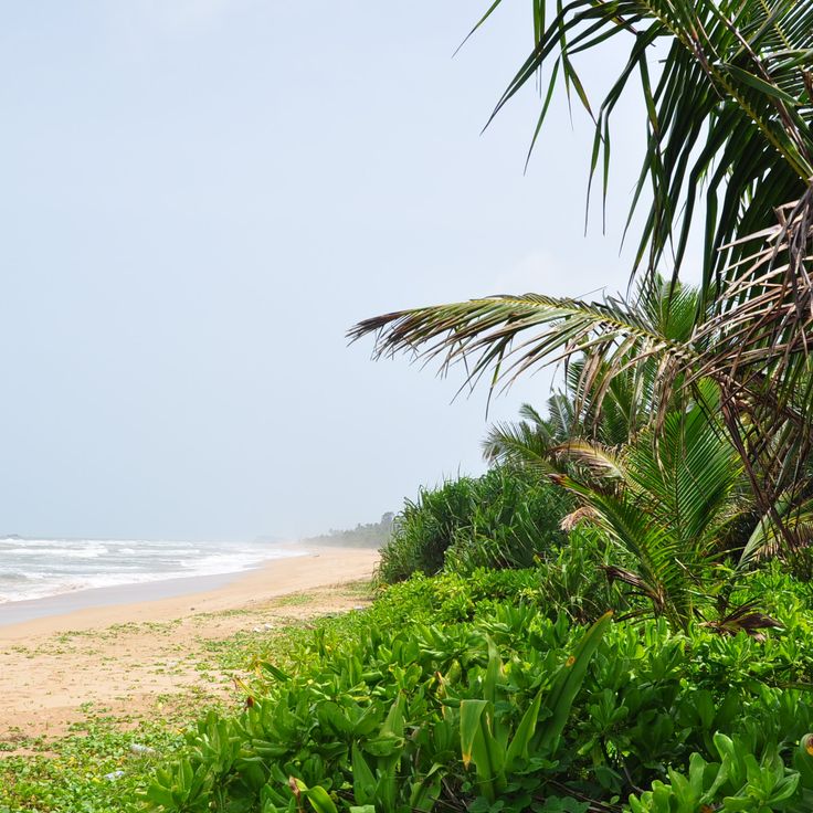 Bentota Beach