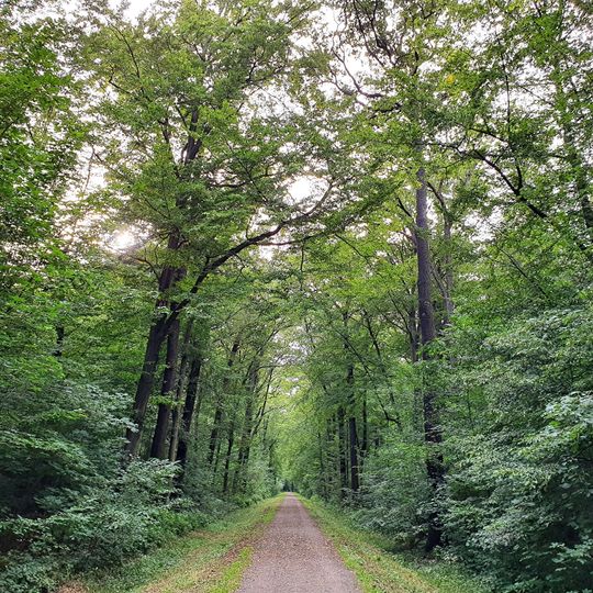 Threnaer Allee, Naunhof