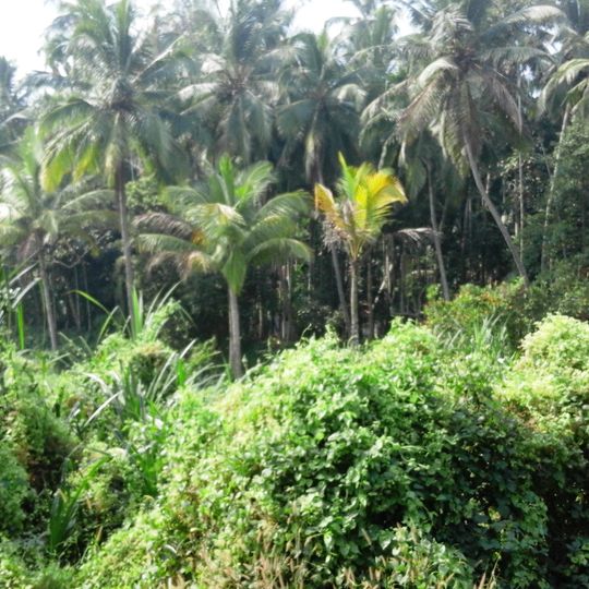 Chengottukave Gramapanchayath