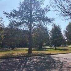 Manuka Park