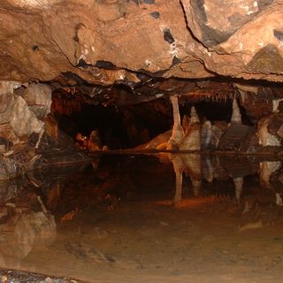 Gough's Cave