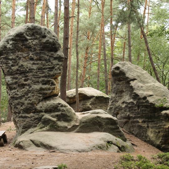 Obří hlava a žába