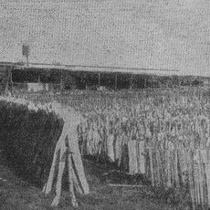 La Helvecia sawmill