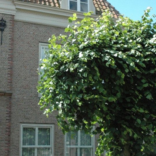 Huis onder schilddak en met lijstgevel, waarin zesdelige schuiframen