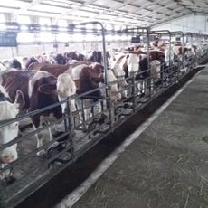 Ferme Bellonte