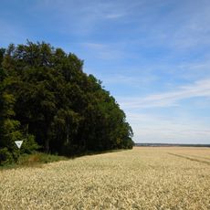 Lechlumer Holz und angrenzende Forste