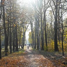 Kyrylyvskyi Hai Park, Kyiv