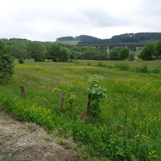 LSG-Talraum der Kleinen Steinmecke