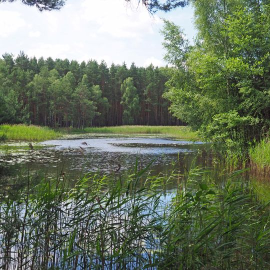 Erlenbruch-Oberbusch Grüngräbchen