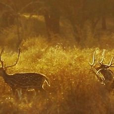 Parc national de Pench