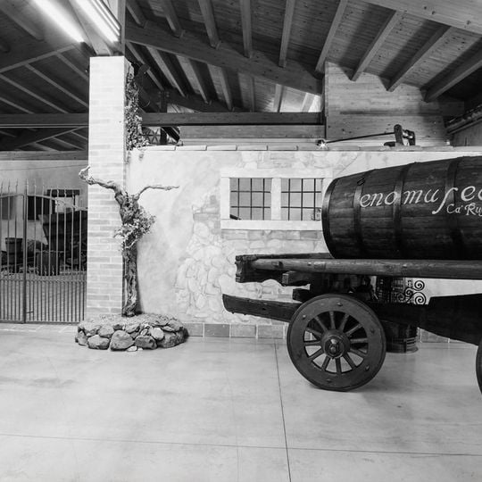Museo del Vino di Ca' Rugate