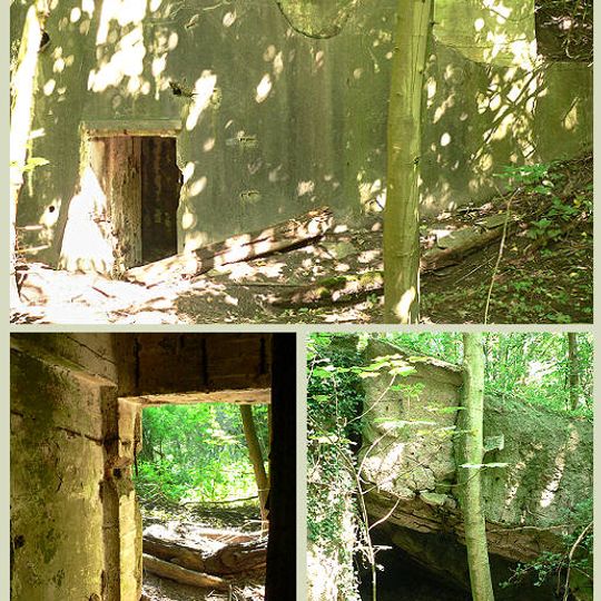 Wiesenbatterie Schillig