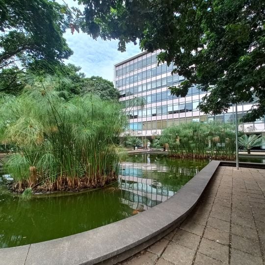 Gardens by Burle Marx