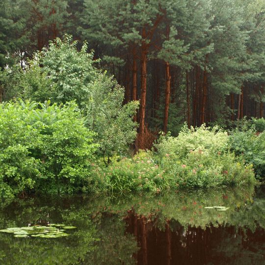 Solska Wilderness