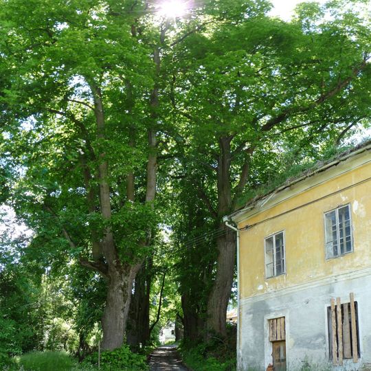 Palvínovská alej ke statku