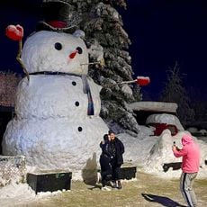 Snowzilla