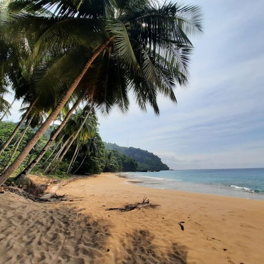 Praia Macaco