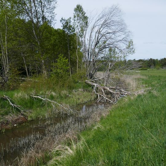 Igelbäcken i Sundbyberg