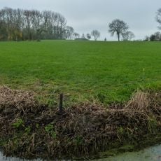 Terrein met een wierde (Hemert; noordelijk deel)