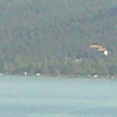Pelion