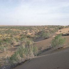 Central Asian southern desert