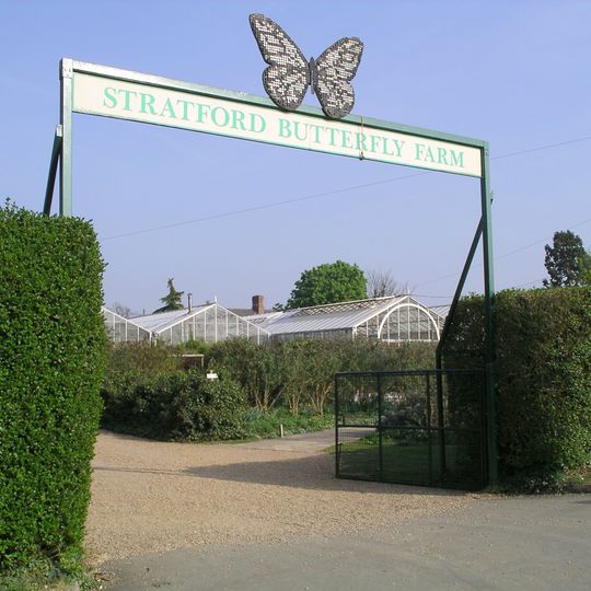 Stratford Butterfly Farm