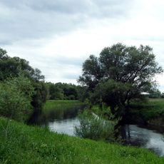 Leineaue zwischen Ruthe und Koldingen