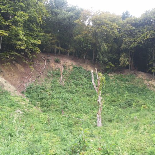 Krijtrots van Heimans