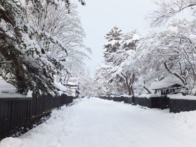 Winter 1