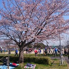 久喜市総合運動公園