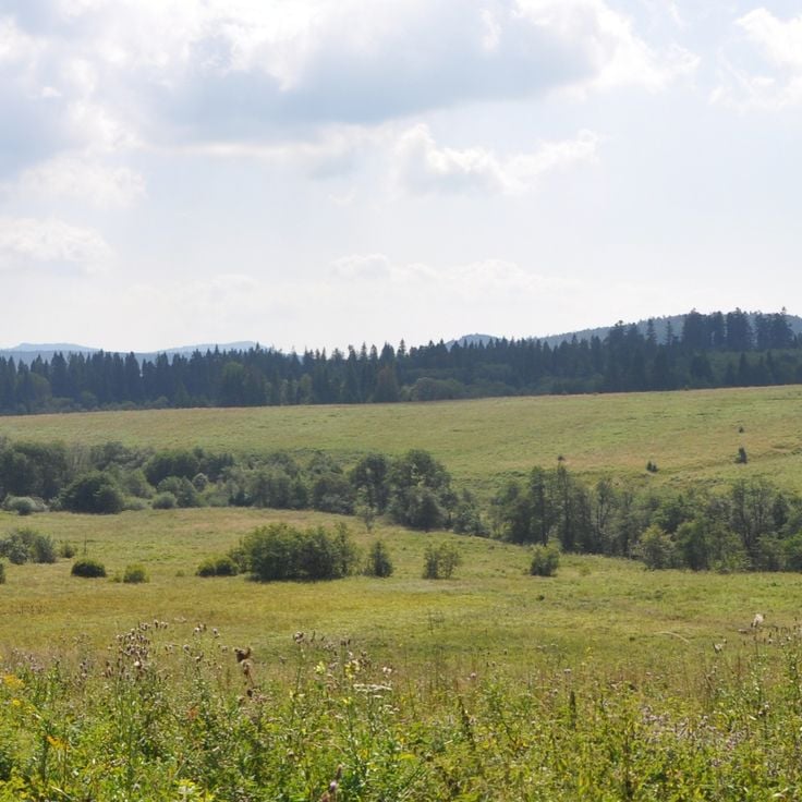 Bieszczady National Park