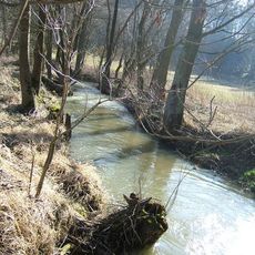 Štěpánovský potok