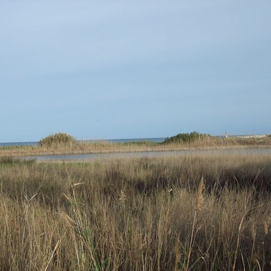 Paraje natural del estuario del río Guadiaro