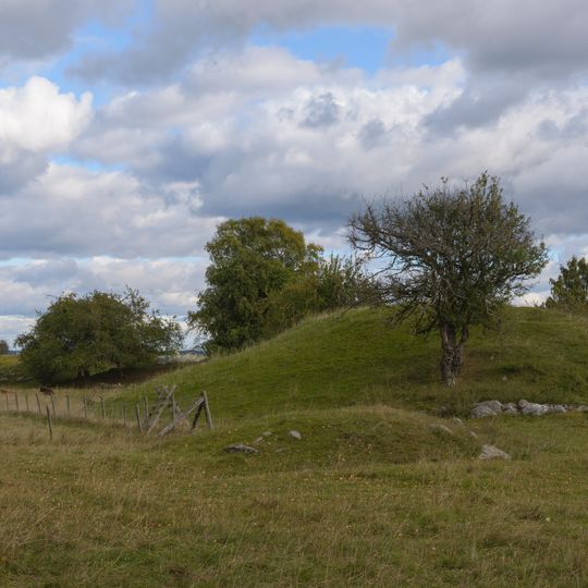 Nr 4 och 6: Kungshögarna