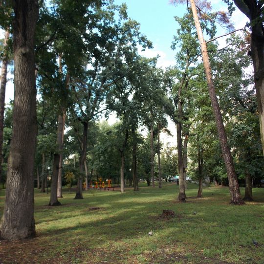 Svyatoshyn urban forest