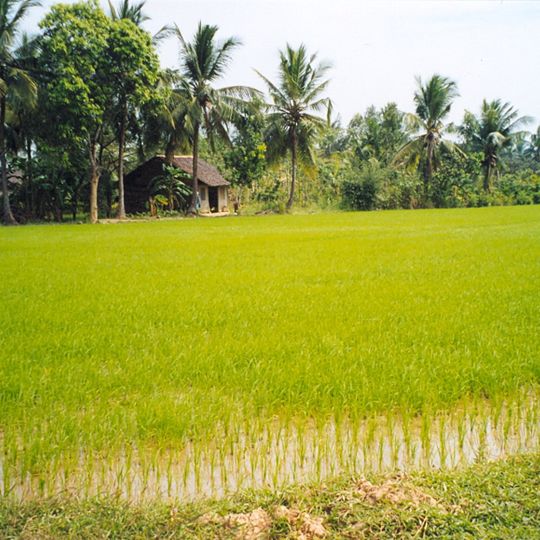 Provincia di Ben Tre