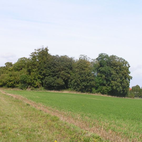 Tombeau de Théodoric