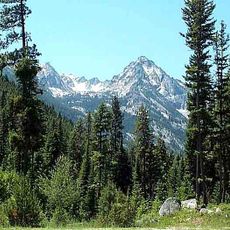 Bitterroot National Forest