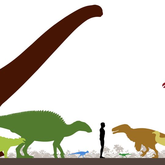 Formación Bayan Shireh