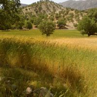 shahrestān di Charam