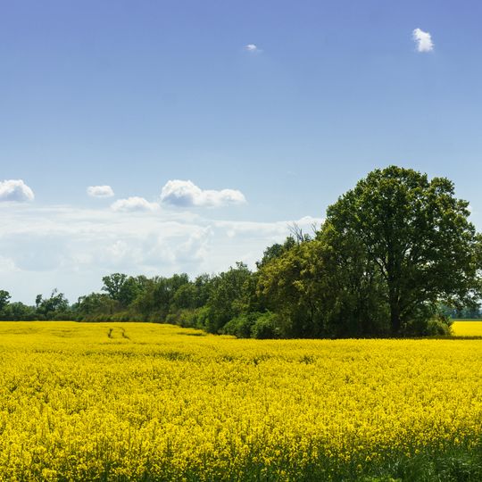Dörnerdamm Graditz / Eulenau