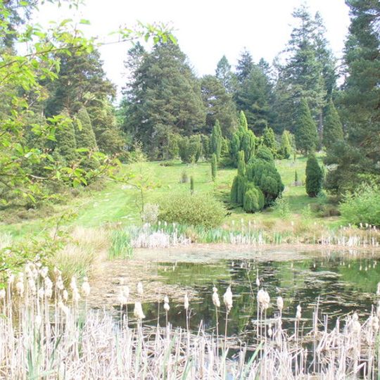 The National Pinetum Bedgebury
